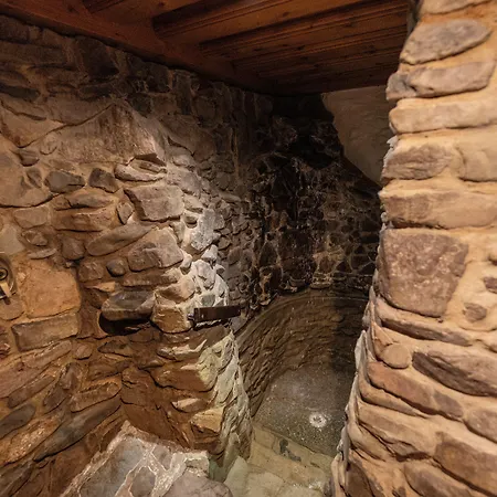 酒店 Am Kranichsee 4*